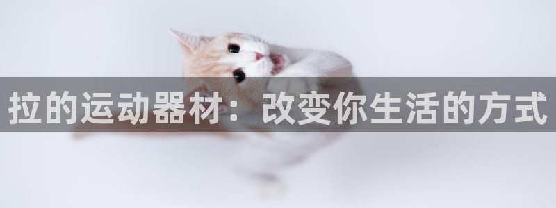 德国意昂4集团:拉的运动器材:改变你生活的方式