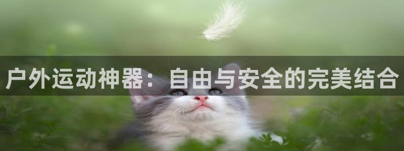 意昂体育4招商电话地址是多少:户外运动神器:自由与安全的完美