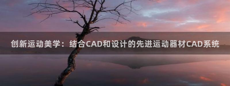 意昂体育4招商:创新运动美学:结合CAD和设计的先进运动器材