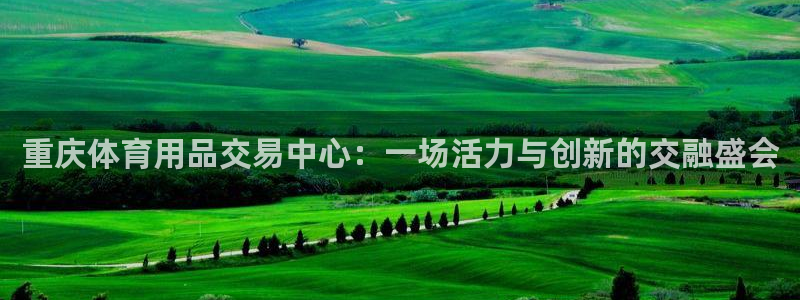 意昂体育4平台假的吗是真的吗:重庆体育用品交易中心:一场活力