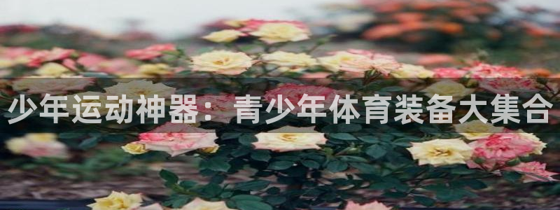 意昂4代理:少年运动神器:青少年体育装备大集合