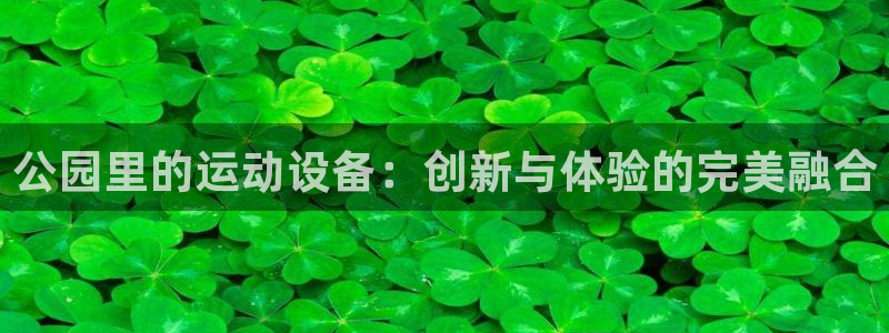 意昂体育4平台假的吗是真的吗吗:公园里的运动设备:创新与体验