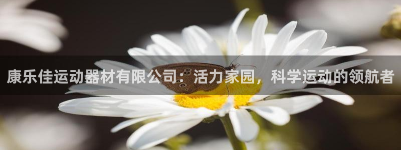 意昂4科技:康乐佳运动器材有限公司:活力家园,科学运动的领航